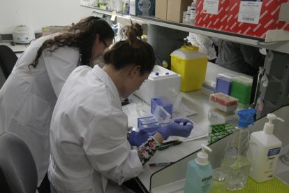 Les instal·lacions de l’IRBLleida, que concentren la investigació biomèdica.