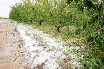 La pedra va afectar intensament el passat 23 de setembre el Baix Segrià.