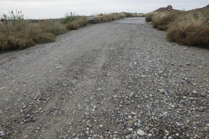 Un dels camins que discorre paral·lel a l’autovia i que es troba en mal estat.