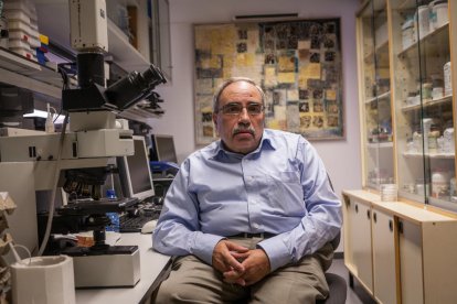 El Nobel de Fisiologia i Medicina 2016