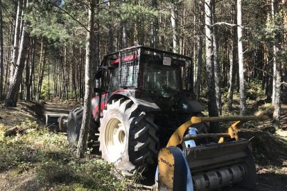 Els treballs per desbrossar i millorar el camí.