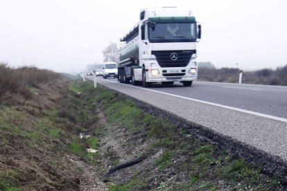 A l’esquerra, un senglar mort ahir a la cuneta de l’N-240. A la dreta, un agent rural vigilant ahir entre els Frares i els Alamús.