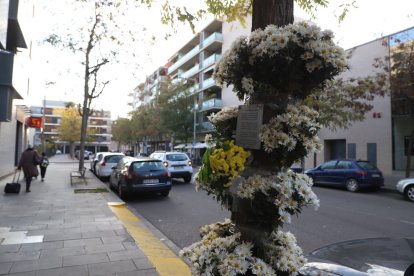 Flors en record d'Isaac Martínez a Cappont