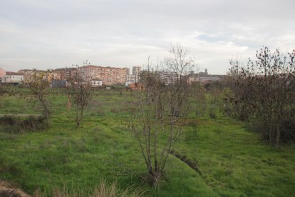 Finques abandonades a l’entorn de l’avinguda de Pinyana.