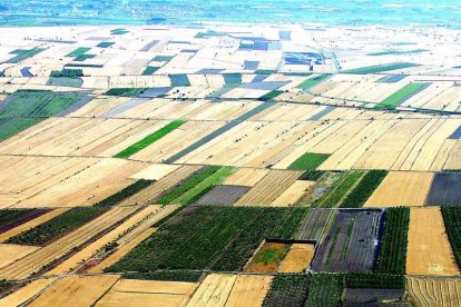 Camps d’Arbeca abans de la concentració parcel·lària.