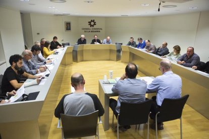 Imatge de l’últim ple del consell comarcal de la Segarra.