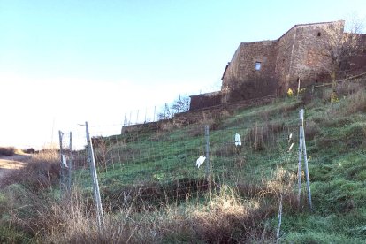 La depuradora de Mont-roig, que es renovarà.