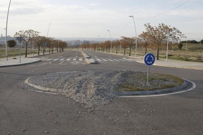 Ovejas en lugar de coches  ■  Un rebaño de ovejas ‘circulaba’ ayer por la tarde por una de las calles de Torre Salses, en una zona próxima al acceso a la variante sur.