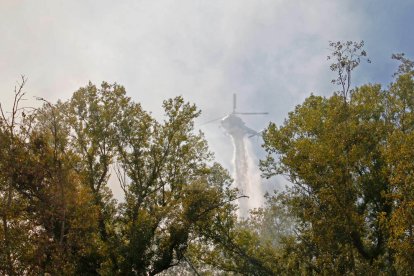 Un espectacular incendi arrasa més de dos hectàrees a la Mitjana