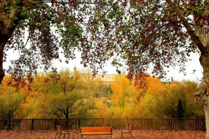 Colors de tardor a Balaguer