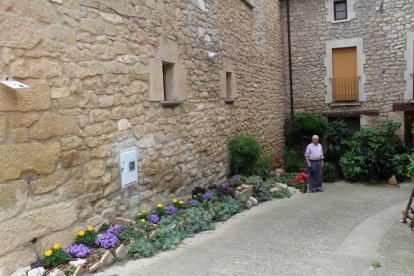 Imatges de l'entrega de premis del concurs Garrigues en Flor