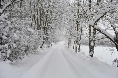 Primera gran nevada al Pirineu del 2019