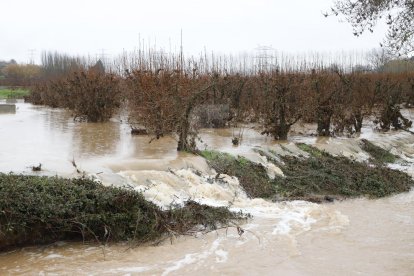 Imatges dels desperfectes del temporal Glòria a les comarques de Lleida