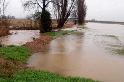 Imatges dels desperfectes del temporal Glòria a les comarques de Lleida