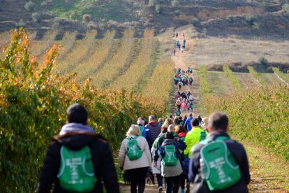 L'Associació de Dones de Torres de Segre va organitzar el passat 17 de novembre una caminada solidària per recaptar fons per la luita contra el càncer 