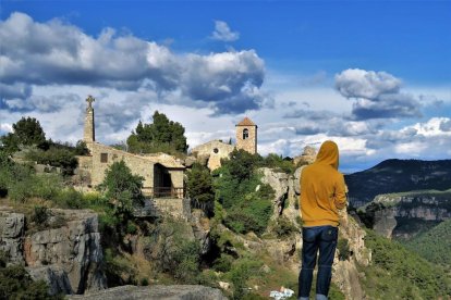 Arbres florits, camps verds i bon temps...ja és aquí la primavera!