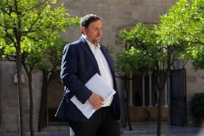 Junqueras diu que el referèndum serà el més semblant possible a altres d’anteriors