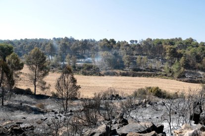 Imatges de l'incendi de la Ribera d'Ebre, que afecta a diversos indrets de les Garrigues i el Segrià