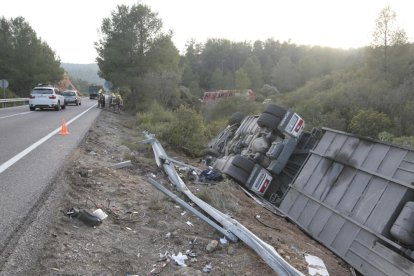 Il·lès després de bolcar amb el camió carregat de vedells a la C-12 a Maials