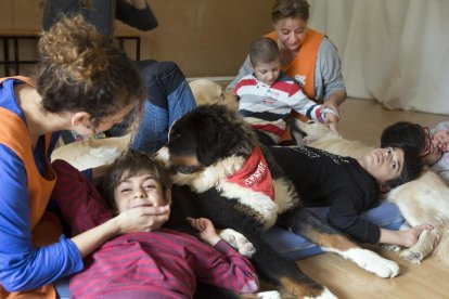 Imagen de archivo de la terapia canina de la Associació Alba.