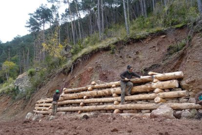 Els treballs d'estabilització d'un talús a Soriguera.