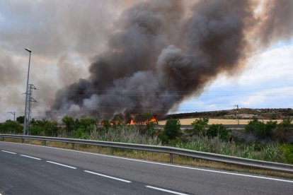 L’incendi que va calcinar vuit hectàrees dimarts a la  Floresta.