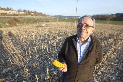 Ramon Codina, agricultor y exalcalde de Sanaüja, en la finca donde ya se ha segado el maíz.