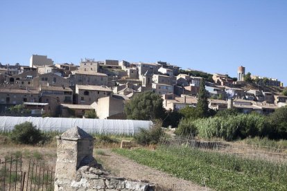 Vista de El Talladell, pueblo con la categoría de entidad municipal descentralizada (EMD).