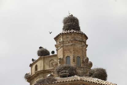 Alguns dels nius a l’església de Seròs.