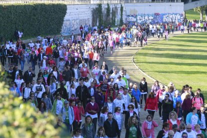 Càncer de mama i exercici físicQuan arriba el primer fred és l’hora de la poda