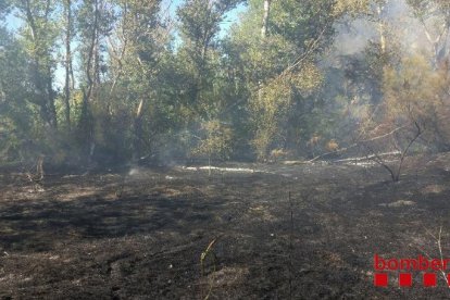 Incendi a la Mitjana de Lleida