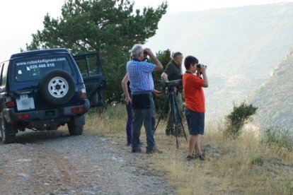 Observadors a Boumort durant la brama d’enguany.