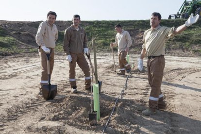 Imatge d’arxiu de plantació de pistatxos de Borges a la zona regable del Segarra-Garrigues.