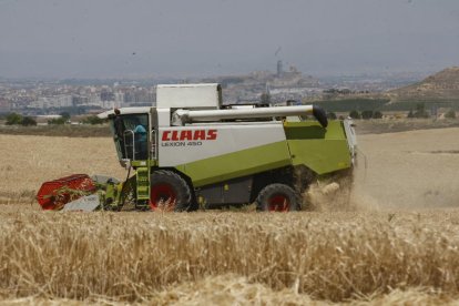 Una explotació agrària a Lleida