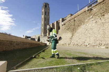 Un dels operaris de jardineria ahir adequava l’entorn del Turó de la Seu Vella.