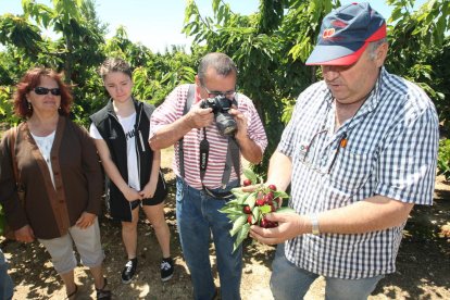 Una vista a una explotació agrària