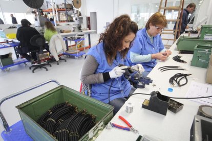 Treballadores en una empresa de Lleida