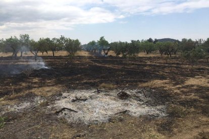 Imatge de l’incendi de Cervià de les Garrigues.