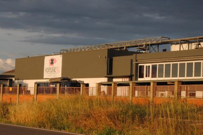 Imagen del matadero de Mollerussa, propiedad del Grupo Jorge.