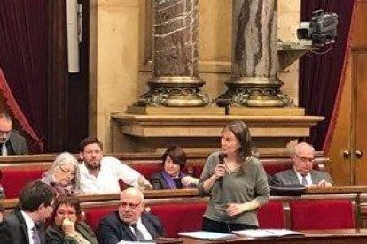 La consellera Serret, aquest dimecres al Parlament.