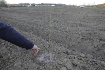 Explotació de Sot de Fontanet on han sostret una seixantena de paraguaians en una setmana.