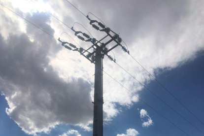 Imagen de la línea en la que se habrían electrocutado las aves. 