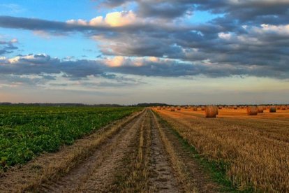 La ley pretende defender los espacios agrarios.