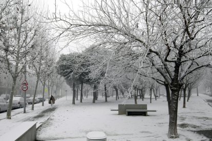 El inicio del invierno ha sido especialmente frío en Lleida, que el día 8 de enero se despertó con este paisaje tras la niebla heladora.