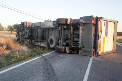 Vista del camión volcado ayer en la C-14 en Tàrrega. 