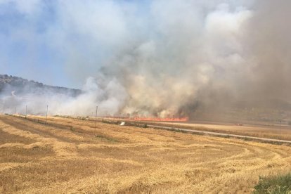 Otros dos incendios arrasan 26 hectáreas en Almenar y Foradada