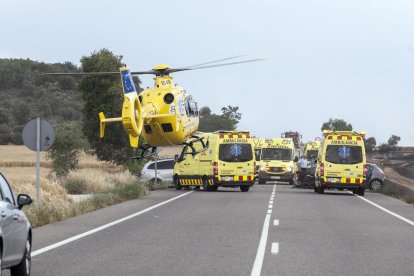 Coberts també van ser pastura de les flames en l’incendi d’Oliola.