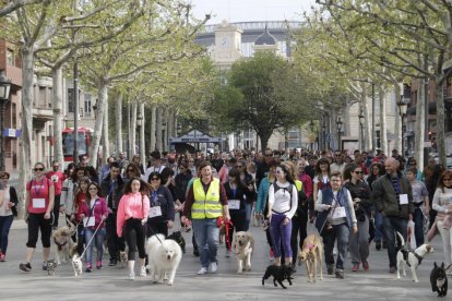 Desfilada de mascotes a la rambla de Ferran de Lleida.