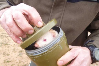 La fura utilitzada pel caçador denunciat a Cubells, i a la dreta, l’embarcació d’un dels pescadors multats a Santa Anna.