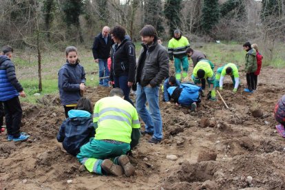 Alguns dels alumnes plantant un arbre a les Franqueses.